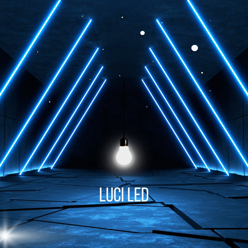 LUCI LED